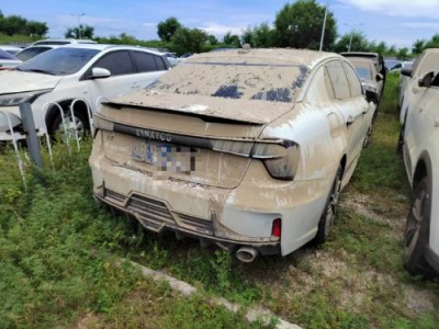 20年领克领克03小型车
