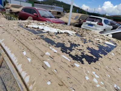 20年领克领克03小型车
