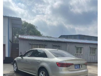 17年奥迪奥迪A4L小型车