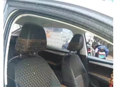 20年斯柯达明锐小型车