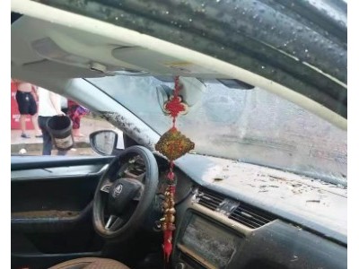 20年斯柯达明锐小型车