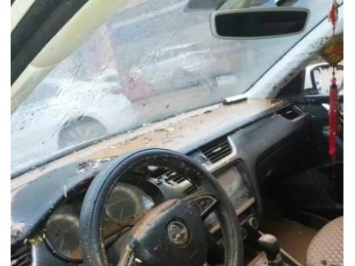 20年斯柯达明锐小型车