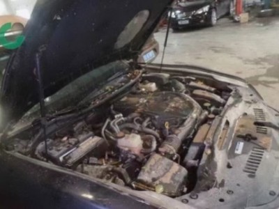16年丰田皇冠小型车