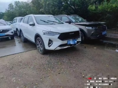 19年哈弗哈弗F7SUV