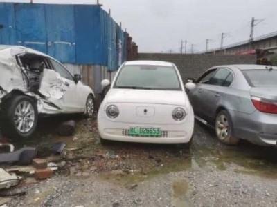 21年长城欧拉微型车