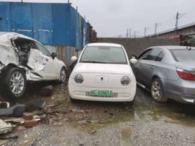 21年长城欧拉微型车