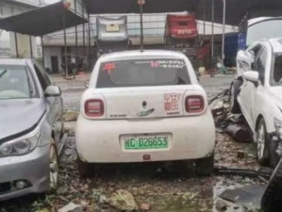 21年长城欧拉微型车