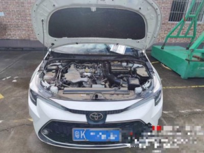 20年丰田雷凌小型车