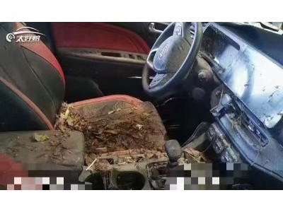 20年广汽传祺传祺GS3SUV
