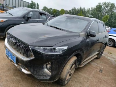 19年哈弗哈弗F7SUV
