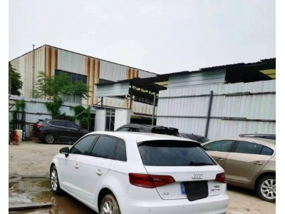 16年奥迪奥迪A3中型车
