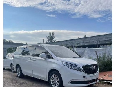 19年别克别克GL8MPV