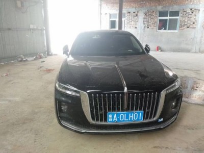 21年红旗红旗H9中型车