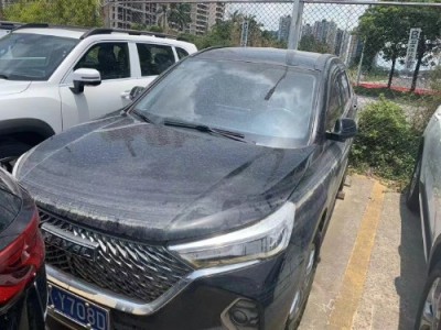 21年哈弗哈弗M6SUV