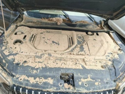 20年猎豹猎豹CS10SUV