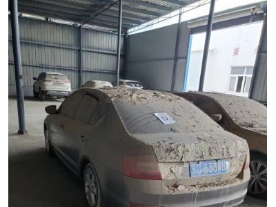 15年斯柯达明锐中型车