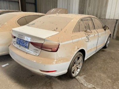 18年奥迪奥迪A3中型车