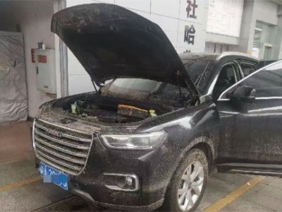19年哈弗哈弗H6SUV