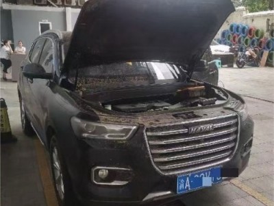 19年哈弗哈弗H6SUV