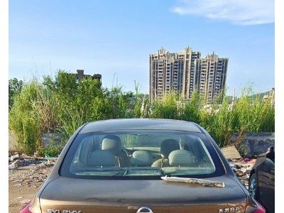 16年日产轩逸小型车