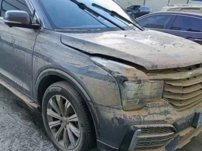 22年广汽传祺传祺GS8SUV