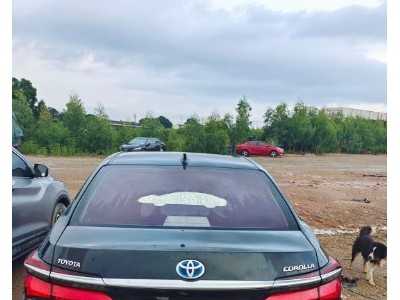 18年丰田卡罗拉小型车