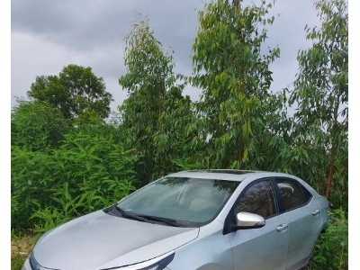 15年丰田雷凌小型车