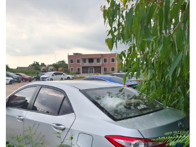 15年丰田雷凌小型车