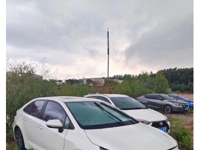 20年丰田雷凌小型车