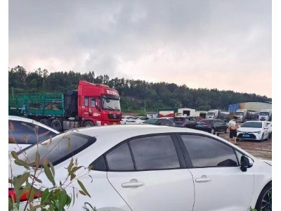 20年丰田雷凌小型车
