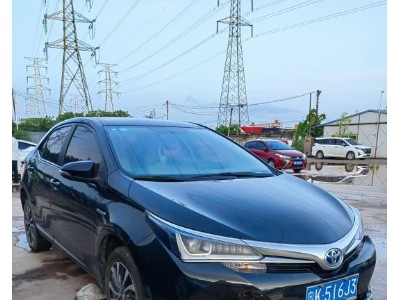 19年丰田卡罗拉小型车