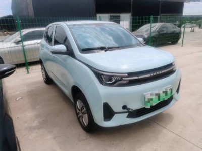 21年雷丁雷丁i3微型车