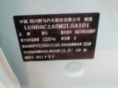 21年雷丁雷丁i3微型车