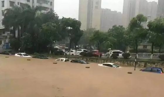 泡水车价格