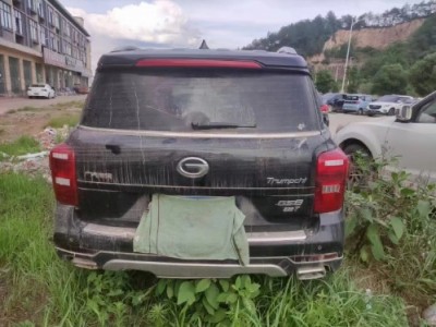 17年广汽传祺传祺GS8SUV