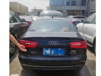 13年奥迪奥迪A6小型车