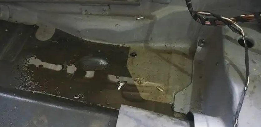 泡水车线束