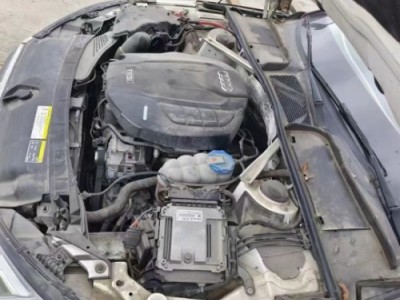 17年奥迪奥迪A4小型车