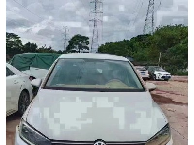 19年大众高尔夫·嘉旅小型车