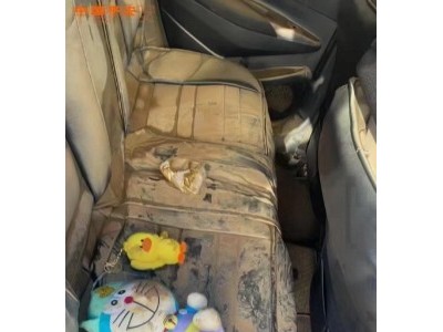 21年丰田卡罗拉中型车
