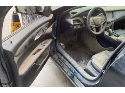 19年凯迪拉克凯迪拉克CT6中型车