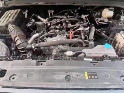 21年长城坦克300SUV