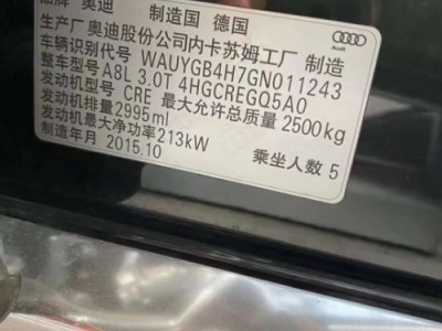 16年奥迪奥迪A8L小型车