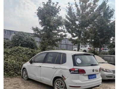 19年大众高尔夫小型车