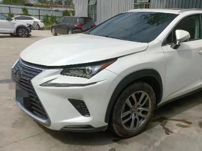 19年雷克萨斯雷克萨斯NXSUV