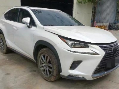 19年雷克萨斯雷克萨斯NXSUV