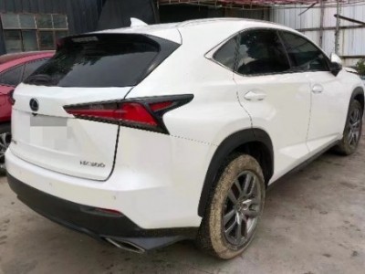 19年雷克萨斯雷克萨斯NXSUV