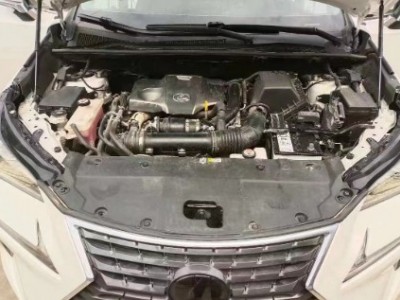 19年雷克萨斯雷克萨斯NXSUV
