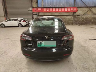 20年特斯拉MODEL Y中型车