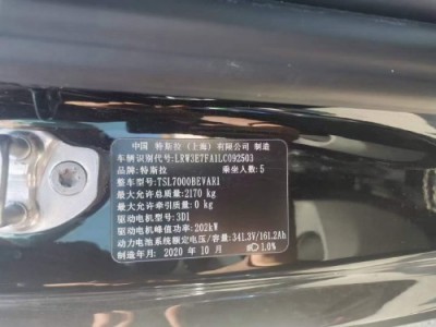 20年特斯拉MODEL Y中型车